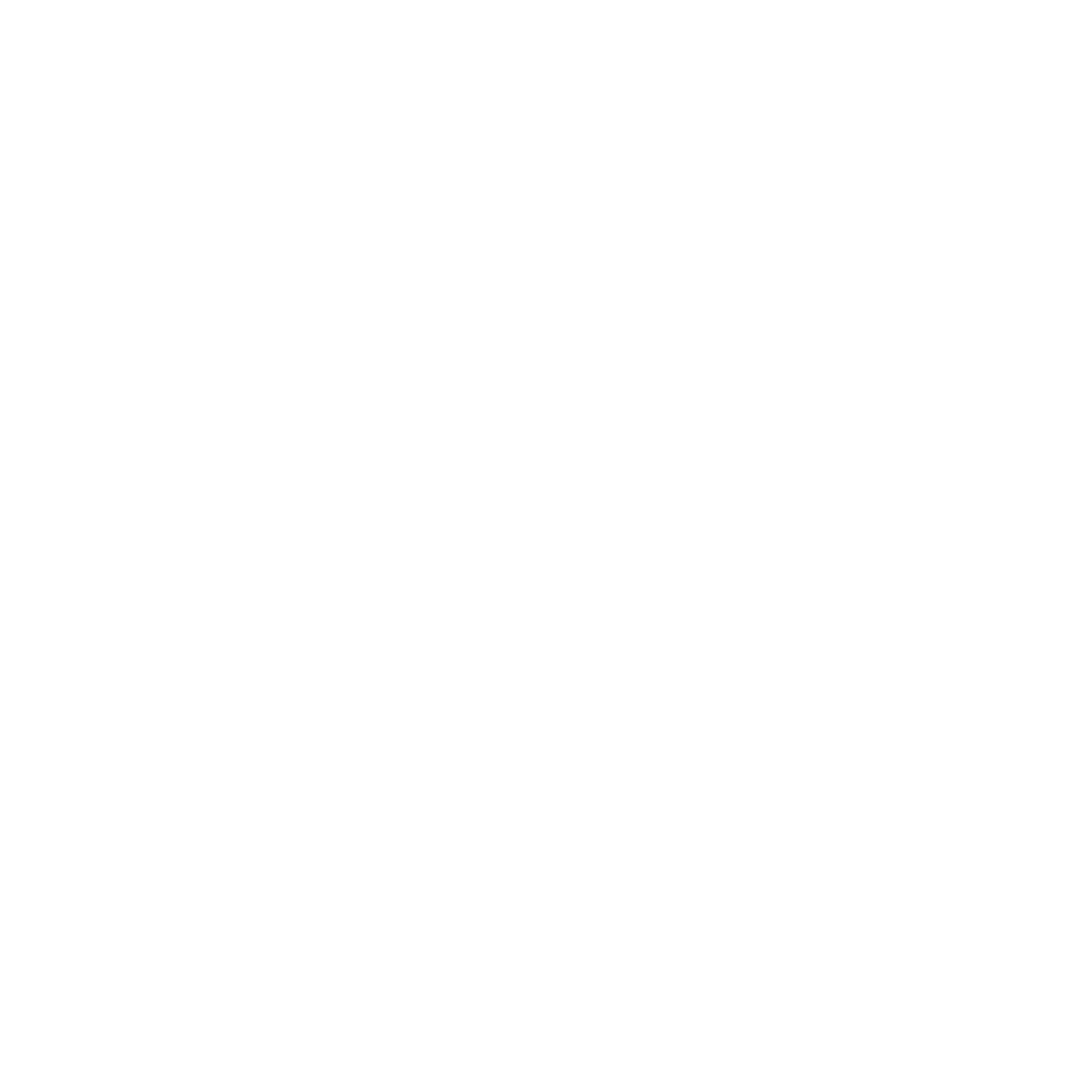 Silver Wolf Capital