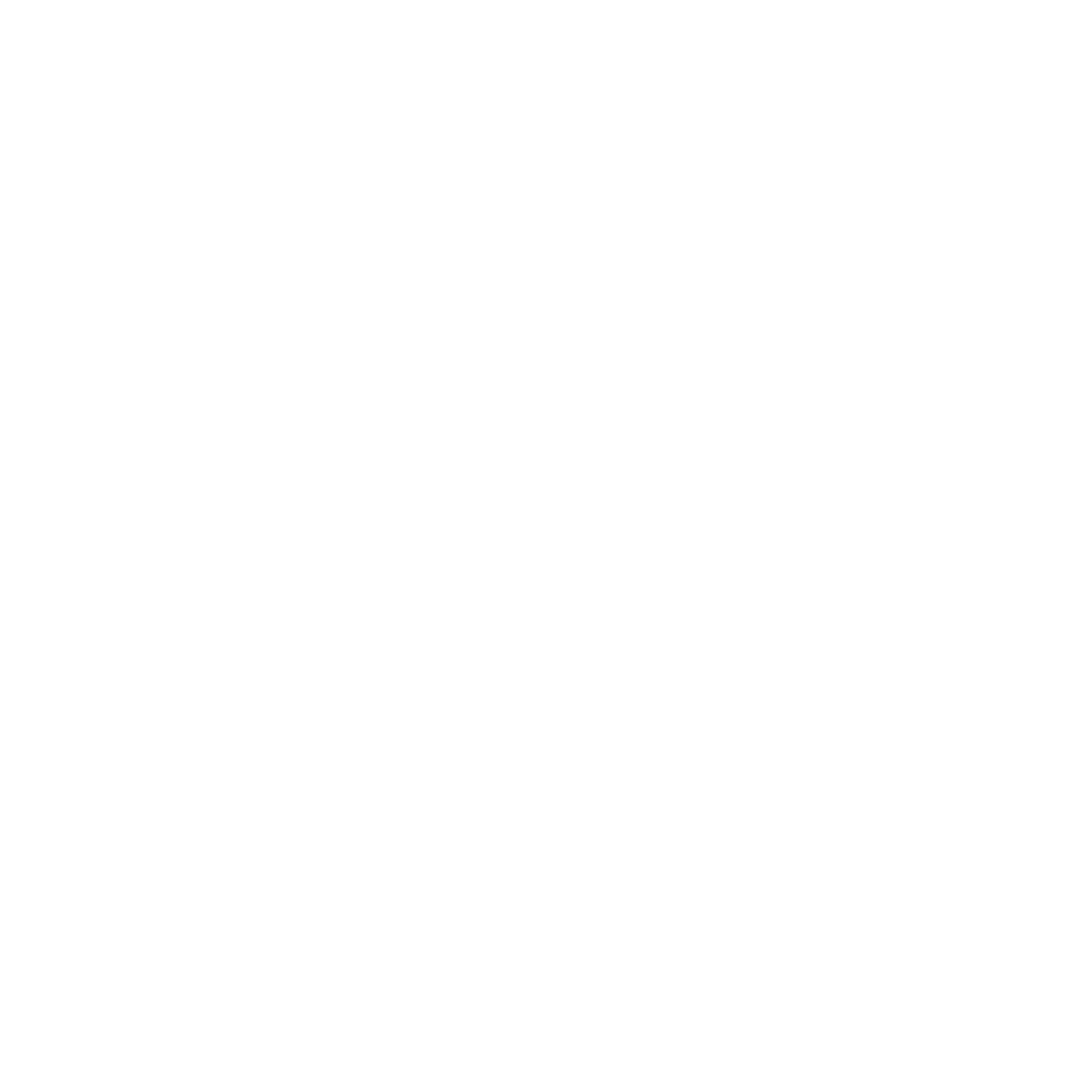 Silver Wolf Capital